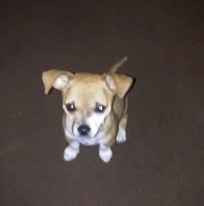 Meet your Posher, Kristal